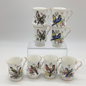 Set Of 8 Coffee Mugs Bird Lover Mugs With Bird Pictures Housewarming Birthday Gift Bird Lover Mug Collection Coffee Tea Cup Lover (D5-19)