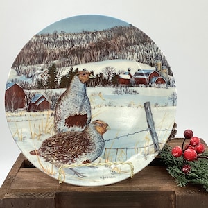 Decorative Plate The Grey Partridge 1987 From The Upland Birds Of Birds Of America Collection Collectible Plate Wall Décor Cabinet (A.6)