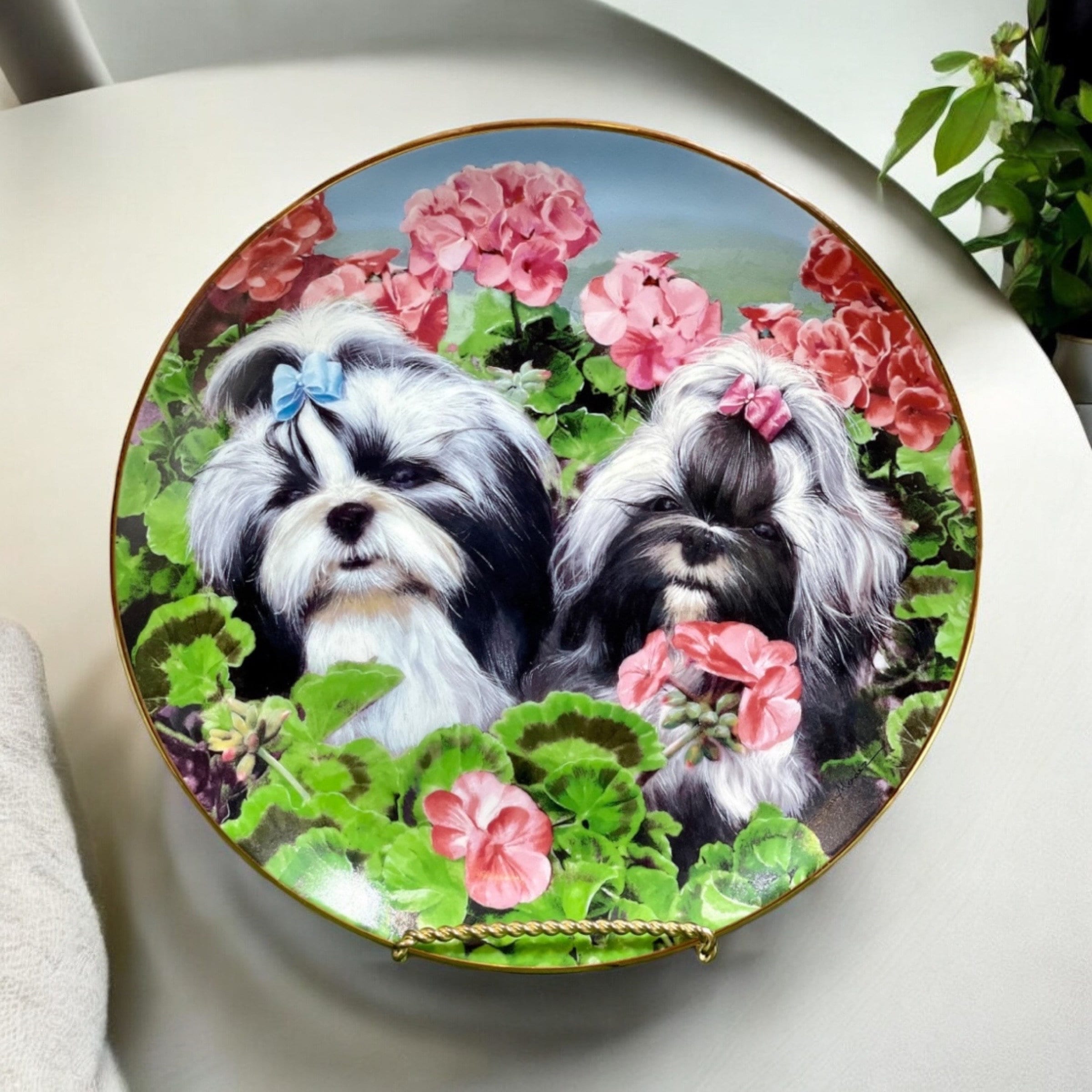 Shih Tzu Collectible Plate, 