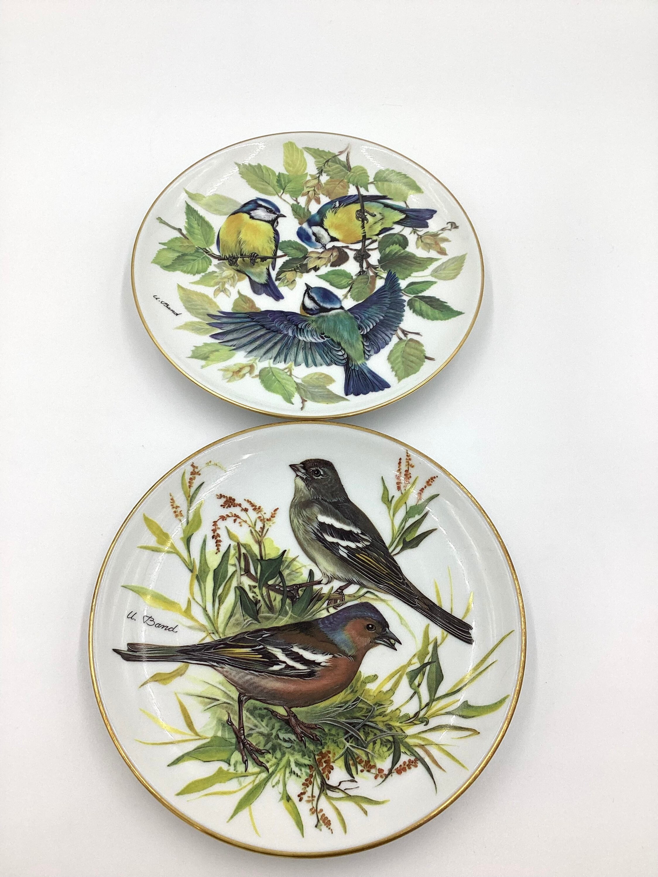 その他 BIRDS' WORDS | CERAMIC PLATE WREATH バーズワーズ / BIRDS' WORDS | CERAMIC PLATE WREATH 陶板