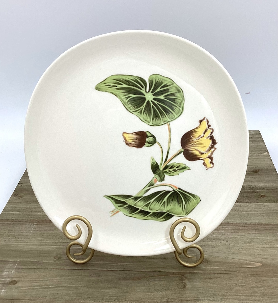 Vintage Crooksville Begonia Dinner Plate, Floral Iva-lure Design