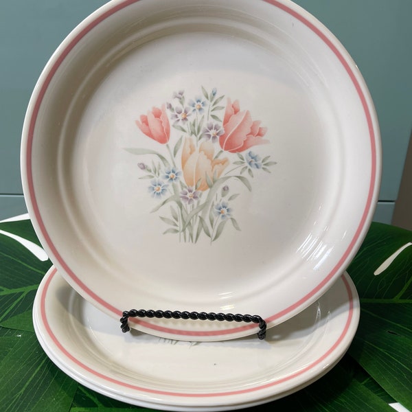 French Garden Luncheon Plates by Corelle (I6-8)