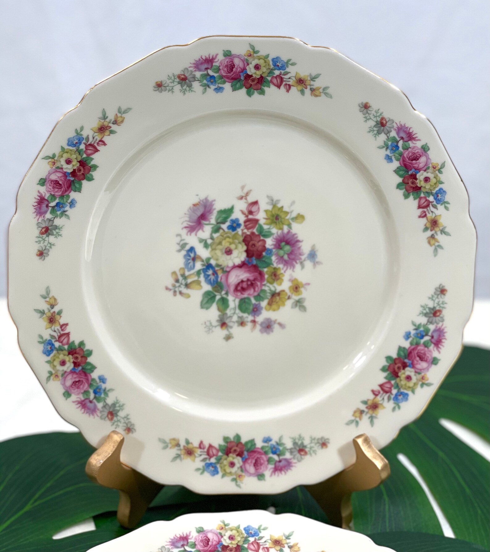 Set of 2 Thomas Ivory Plates Germany Bavaria. Dinner and Etsy