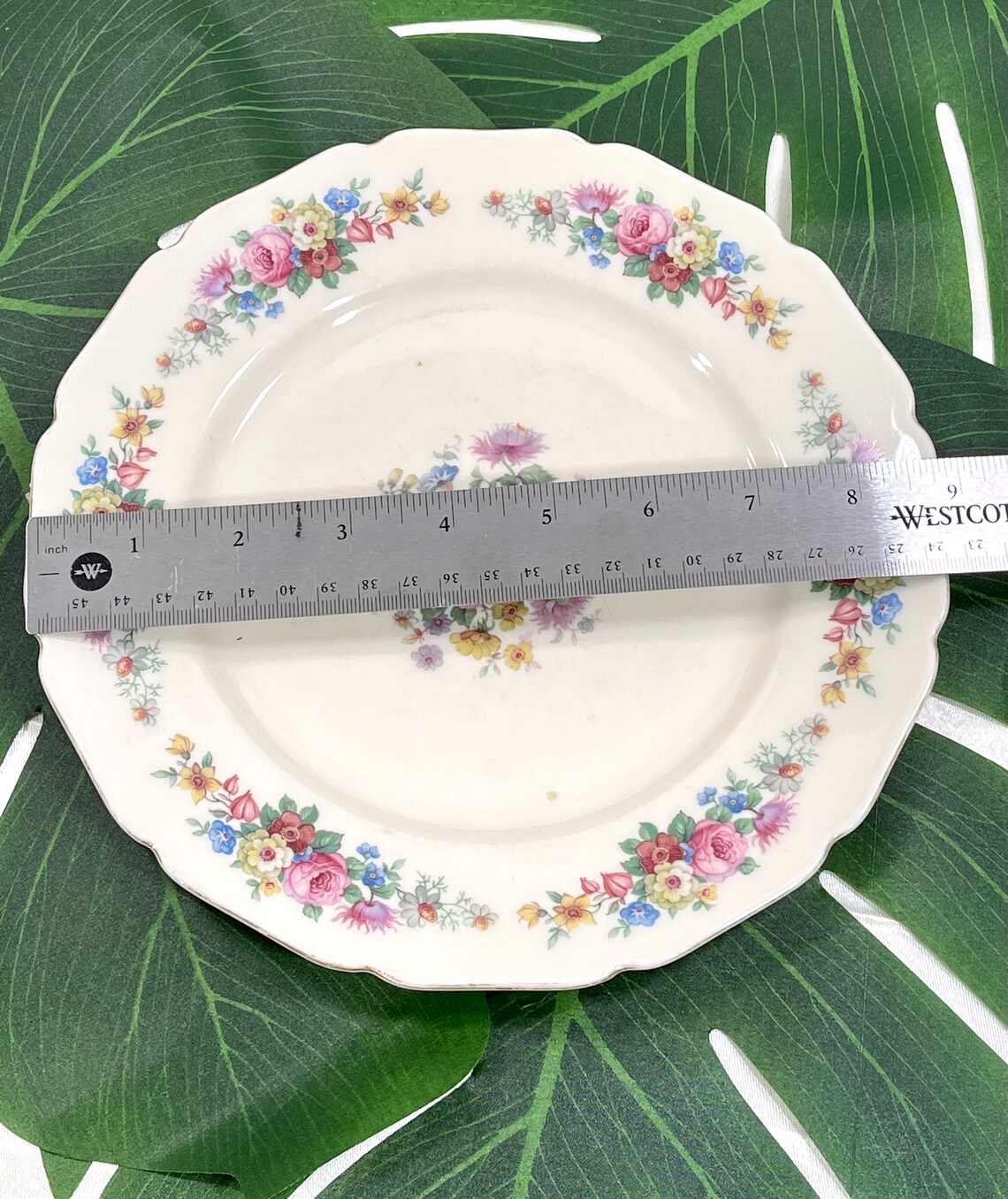 Set of 2 Thomas Ivory Plates Germany Bavaria. Dinner and Etsy