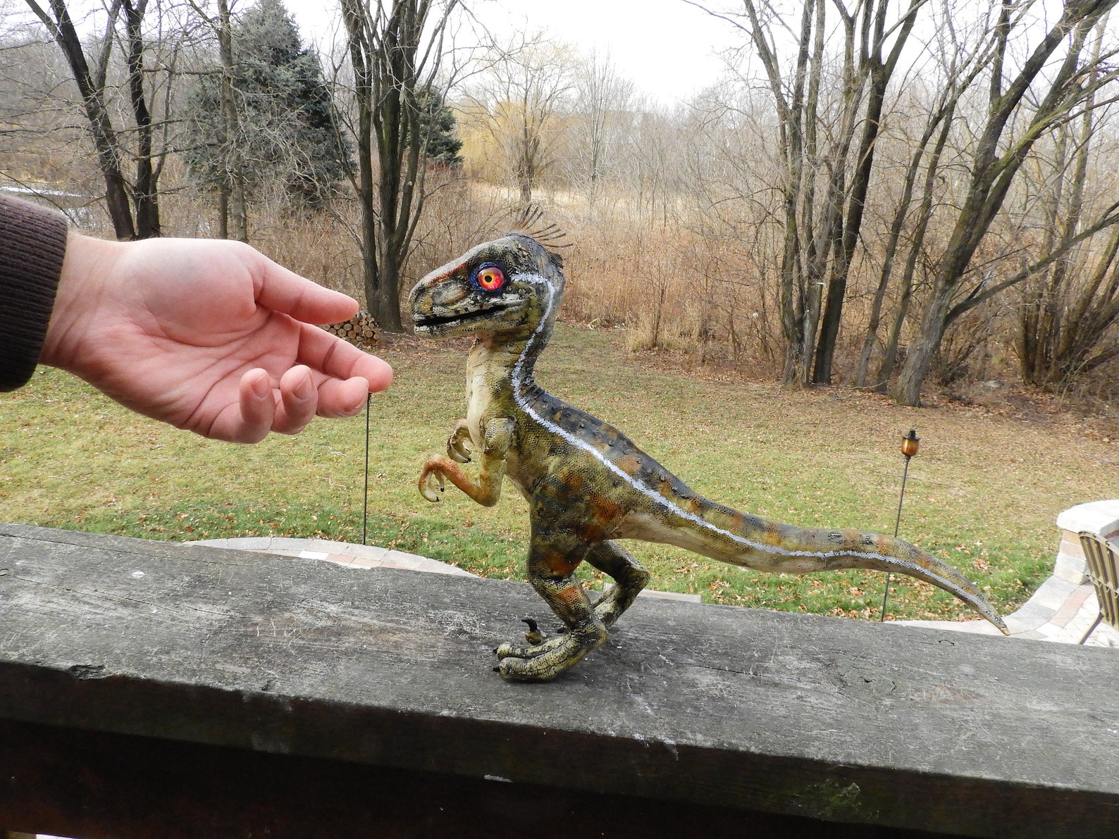 Velociraptor Baby Made to Order Réplica Dinosaur Prop Etsy España