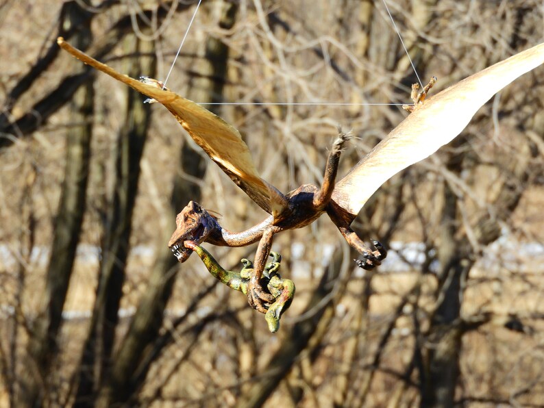 real life pterodactyl