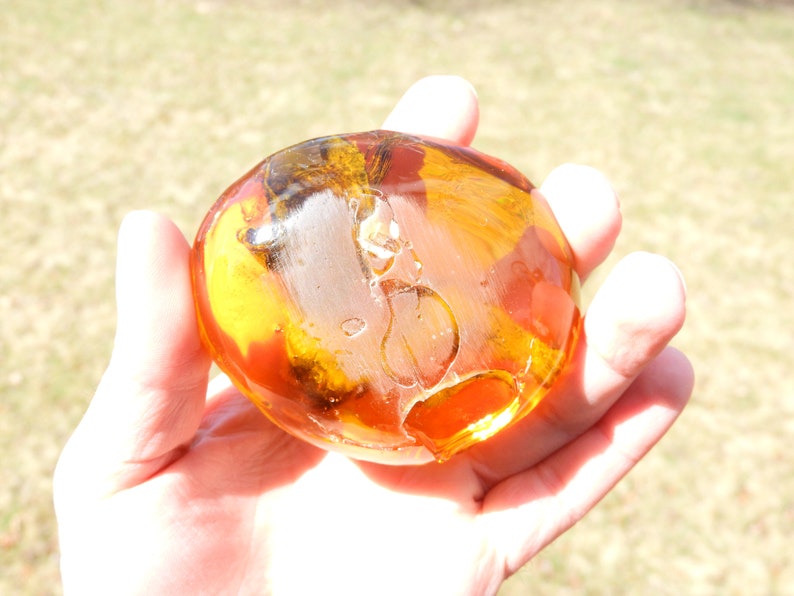 feathered dinosaur in amber