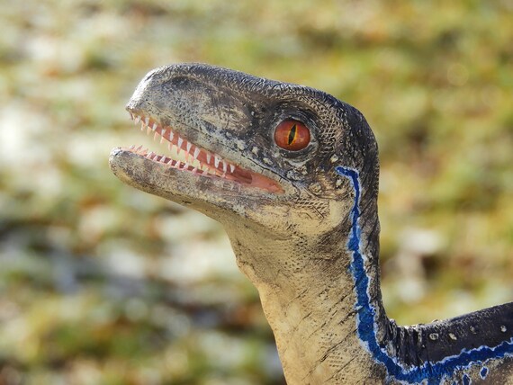 Velociraptor Baby Made To Order Replica Dinosaur Prop Etsy