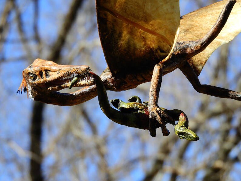 real life pterodactyl