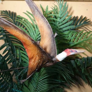 Darwinopterus Female Replica Pterodactyl Model Custom
