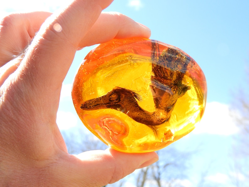 Feathered Dinosaur Preserved in Amber Fossil Hatchling Replica | Etsy