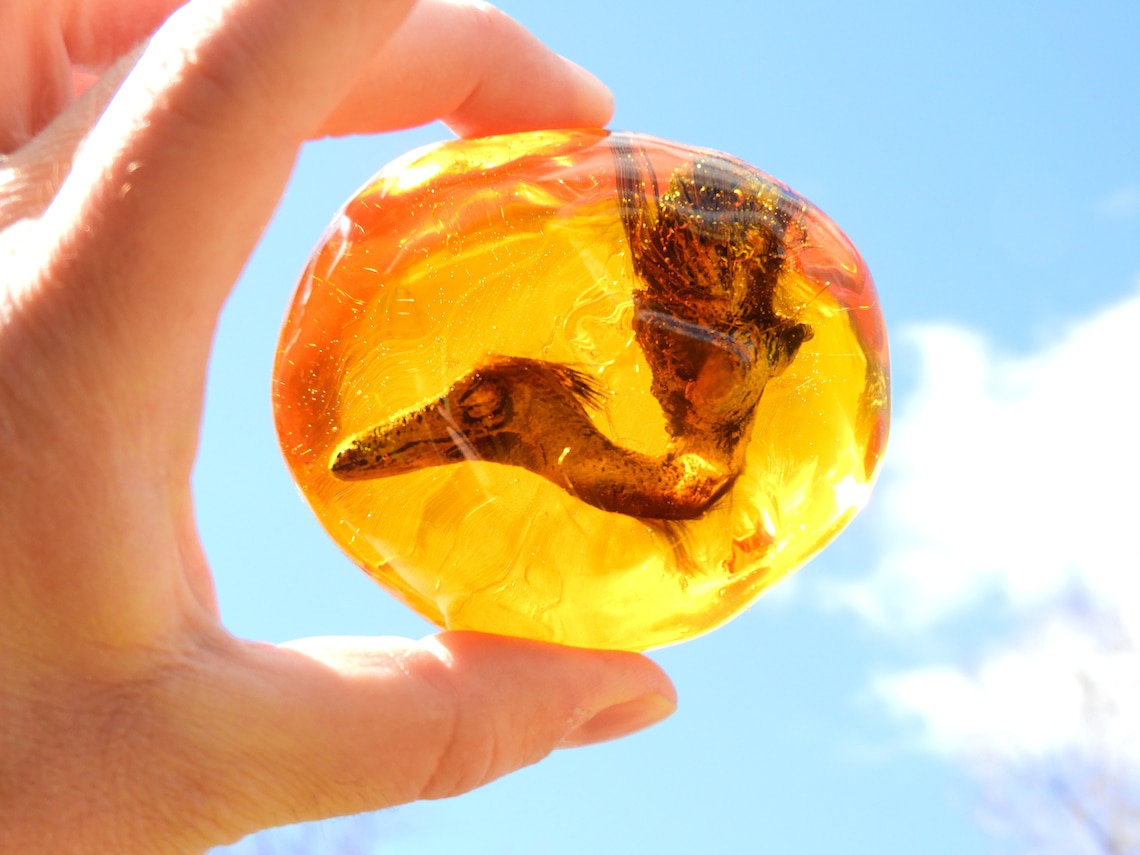 Feathered Dinosaur Preserved in Amber Fossil Hatchling Replica Etsy