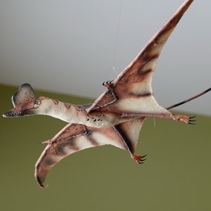 Darwinopterus Male &quot;Gliding&quot; Replica Pterodactyl Model Custom