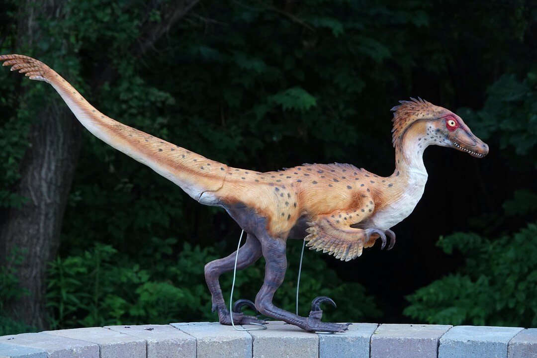 Velociraptor Emplumado Modelo R plica A Tama o Real Hembra Etsy M xico
