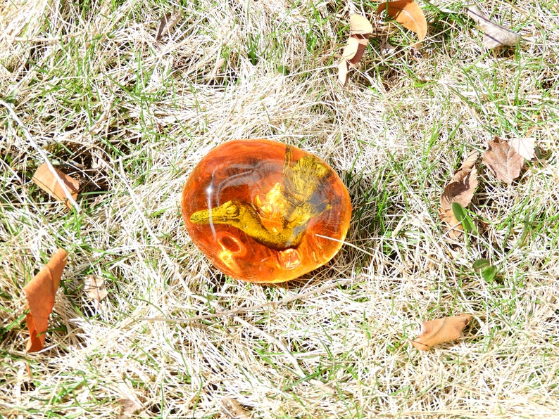 feathered dinosaur in amber