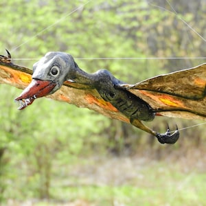 Rhamphorhynchus Female &quot;Hunting&quot; Replica Pterodactyl Model Custom