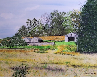 idle barn painting,old weathered barns,white barns,colorful countryside,corn field scene,woodlands scene,scenic and landscape,