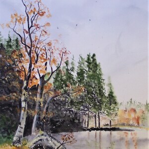 riflessi del lago, scena boscosa, paesaggio del lago, pini, riflessi nell'acqua, vecchia betulla, scena acquerello, paesaggio forestale, paesaggio autunnale