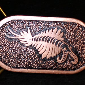 Etched Copper Anomalocaris Fossil Design Belt Buckle