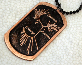 Phylogenetic Tree of Life Pendant Etched in Copper