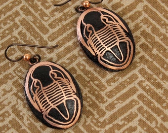 Etched copper Asaphid Trilobite Earrings