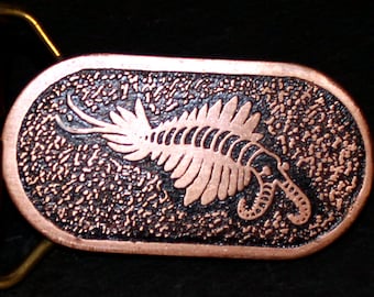 Etched Copper Anomalocaris Fossil Design Belt Buckle