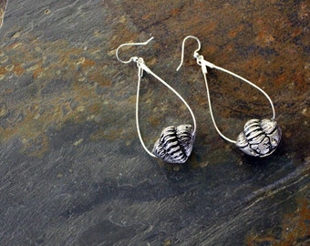 Cast Resin Enrolled Trilobite Hoop Earrings