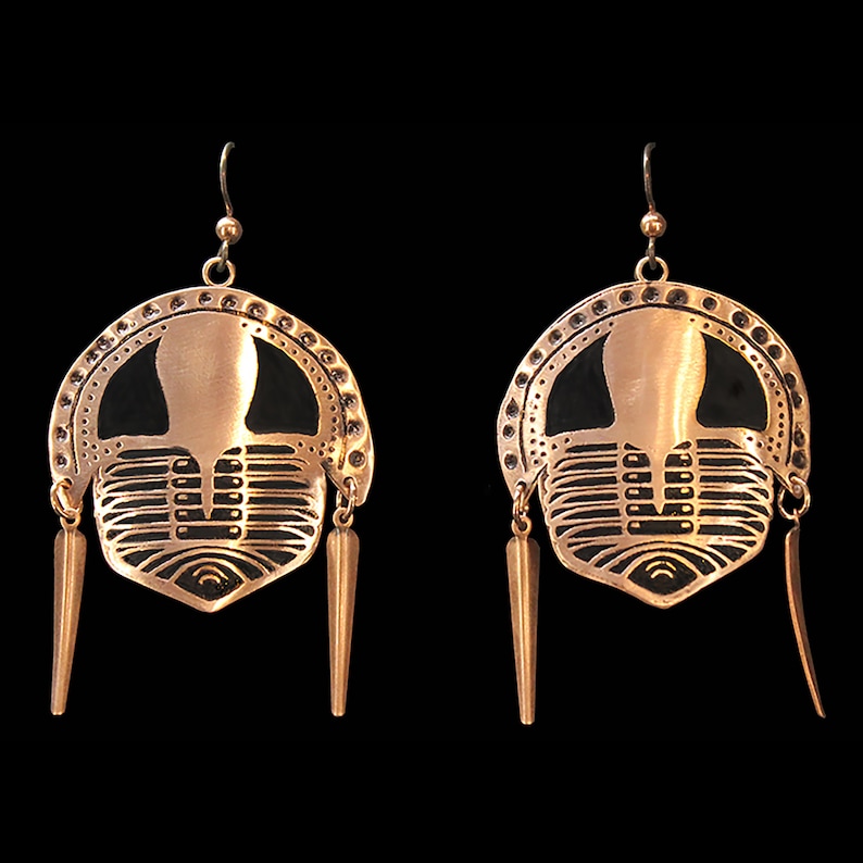 Etched and formed Copper Cryptolithus Trilobite Earrings image 2