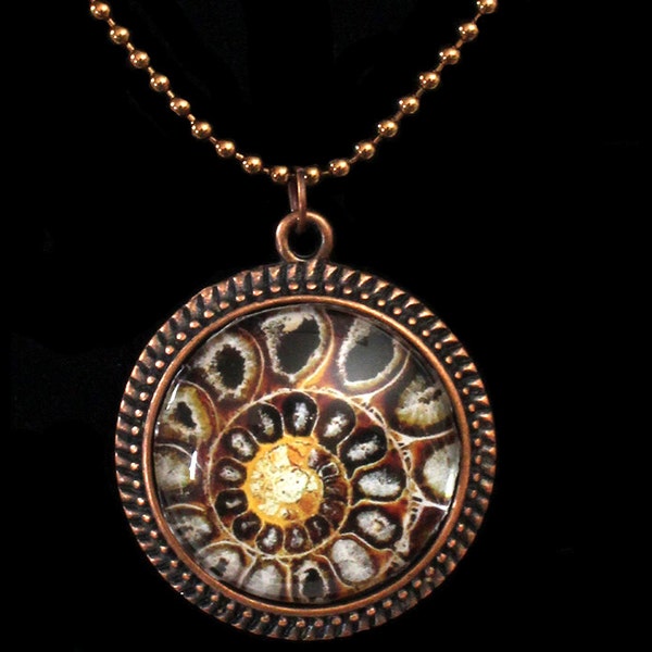 Ammonite Fossil  Glass Photo Pendant Necklace