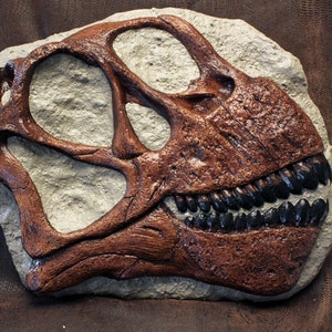Camarasaurus Dinosaur Skull Cast Sculpture
