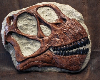 Camarasaurus Dinosaur Skull Cast Sculpture