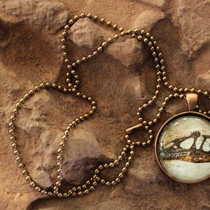 Dinosaur Allosaurus jimmadseni Skull Glass Photo Pendant Necklace