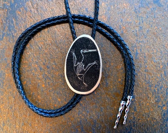 Pterodactylus Etched German Silver Bolo tie