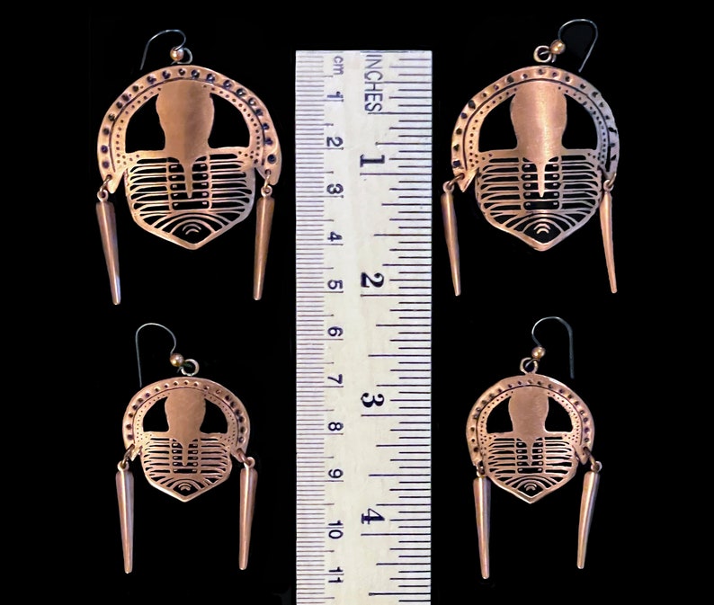 Etched and formed Copper Cryptolithus Trilobite Earrings image 7