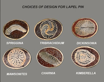 Ediacaran Fossil Biota geëtste koperen reversspeld of dasspeld