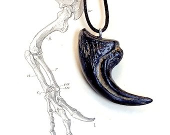 手描きのラプトルの爪の化石レプリカ：ユタ州のラプトルのコレクター