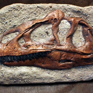 Sculpture Cast Allosaurus Dinosaur Skull