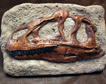 May include: A brown and black dinosaur skull fossil replica mounted on a beige textured background. The skull is detailed with teeth and bone structure.