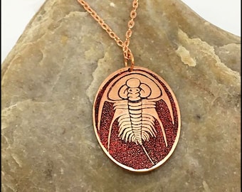 Olenellus  Trilobite Fossil Design Etched Copper Pendant Necklace