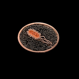 E. coli geätzte und gefärbte Reversnadel oder Krawattennadel