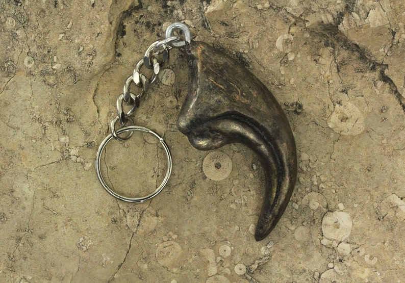 Cold Cast Bronze Allosaurus Dinosaur Claw Keychain image 1