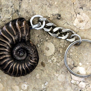 Cold Cast Bronze Ammonite fossil  Keychain