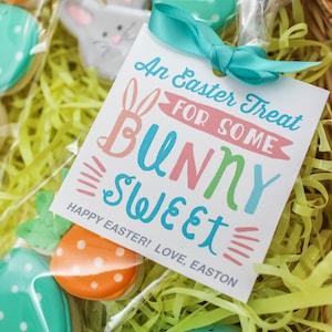May include: A gift bag filled with colourful Easter cookies and a tag that reads "An Easter Treat for Some Bunny Sweet! Happy Easter! Love, Easton."