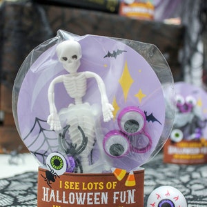 May include: A clear plastic bag filled with Halloween-themed craft supplies. The bag contains a white plastic skeleton, googly eyes, and a spider. The bag has a purple background with a bat and stars. The bag is labeled "I see lots of Halloween fun in your future! Happy Halloween! Love, The McKowns."