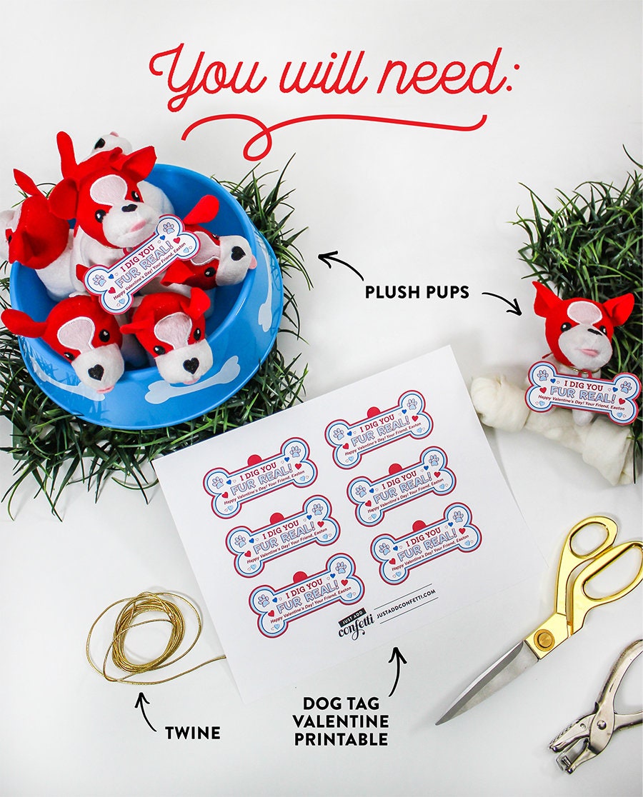 Digging This Style: Valentine's Day For The Kids - Daily Dog Tag