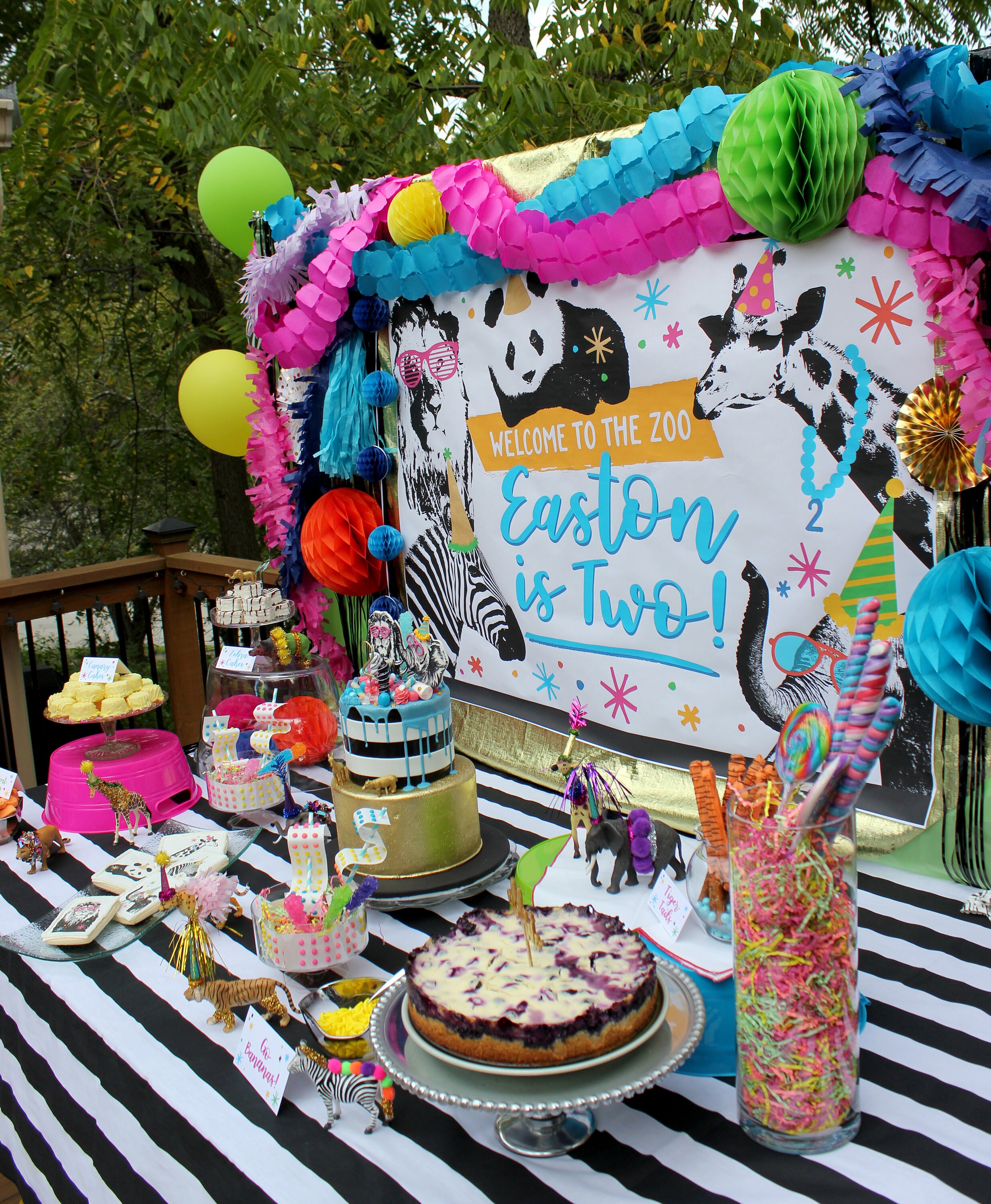Party Animal Zoo Party Backdrop Printable File Lion Zebra Etsy