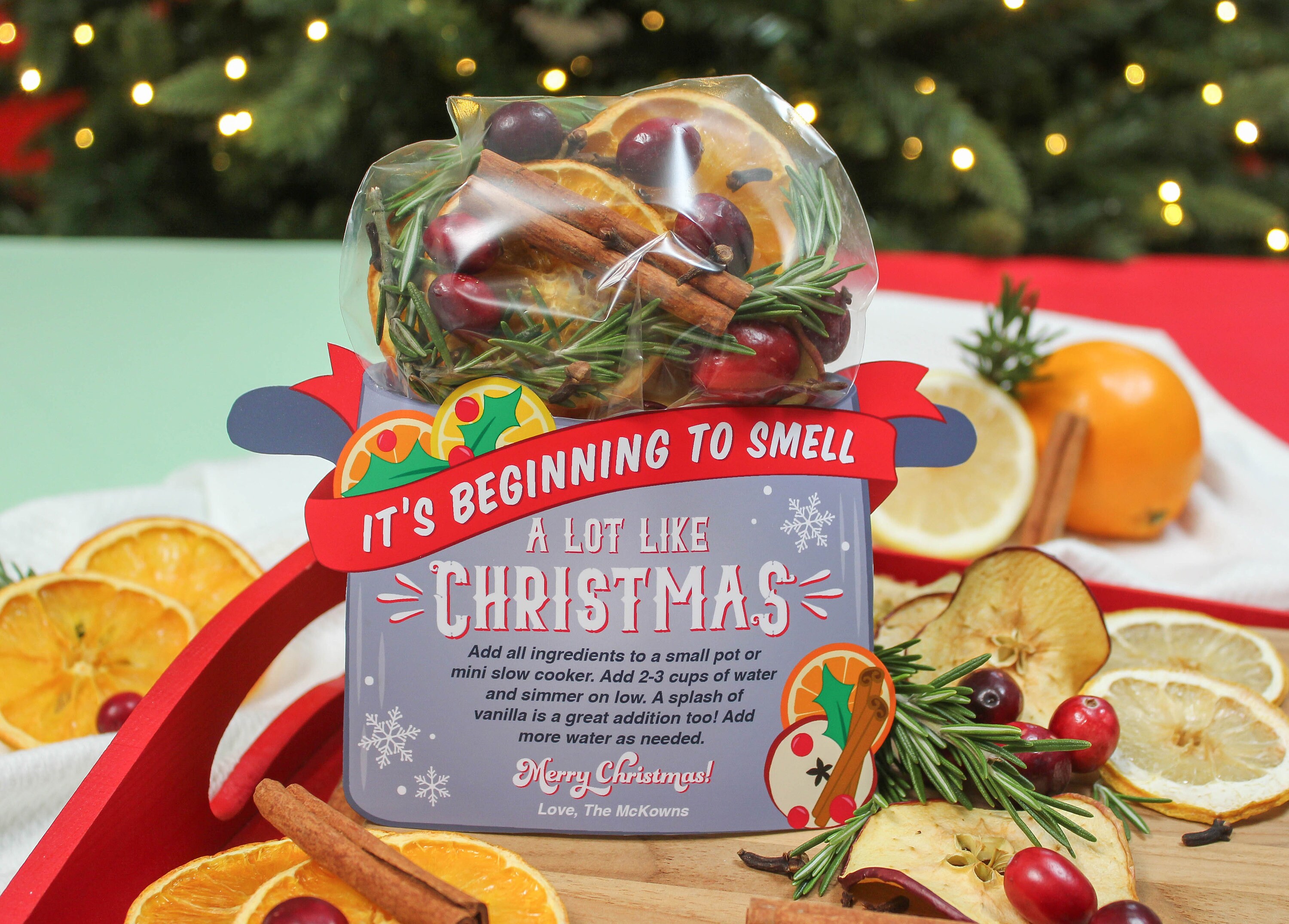 Inexpensive Gift Idea: CHRISTMAS SCENT Simmering Potpourri