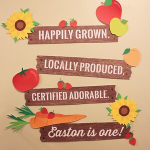 Farmers Market Birthday Party - Party Signs - Digital file, Personalized, Matching, Farm Party, Garden Party, Fruits, Flowers