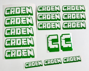 Name Decal Label Stickers Set of 16 - Custom Cut - Different Fonts - Themed Labels - Character Designs