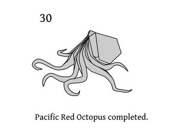 Origami Pacific Red Octopus - Diagrams | PDF Download